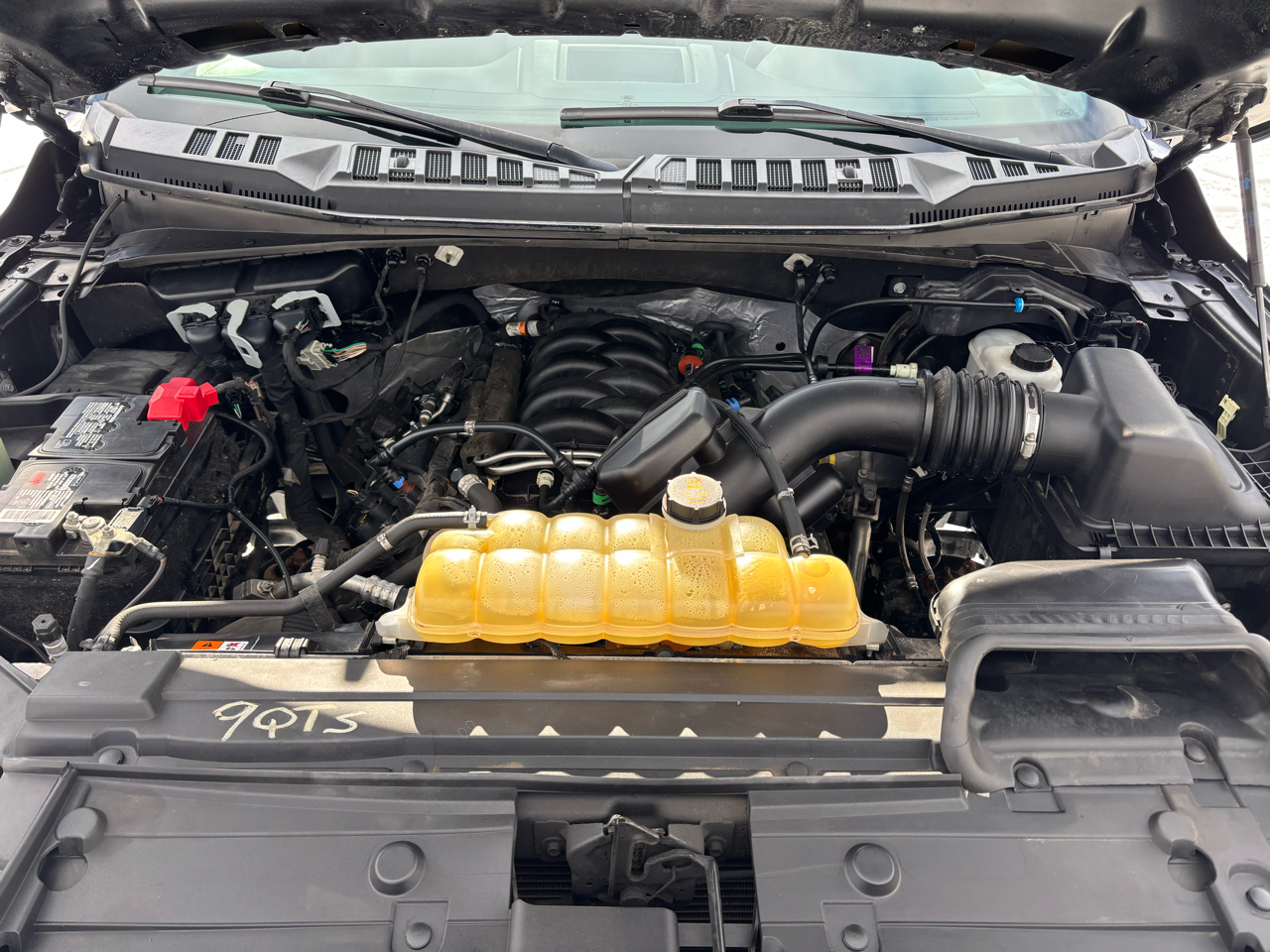 Ford F-150 XL 4WD Reg Cab 8' Box 2020