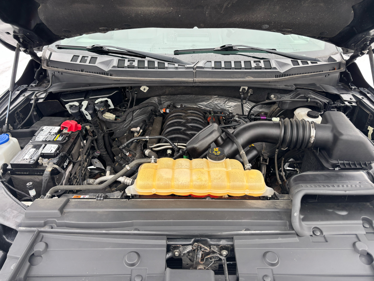 Ford F-150 XLT 4WD SuperCrew 5.5' Box 2018