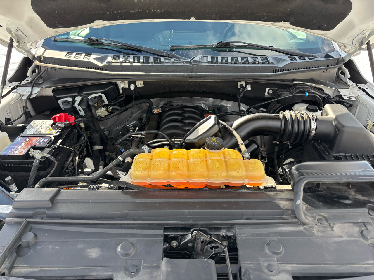 Ford F-150 XLT 4WD SuperCrew 5.5' Box 2019