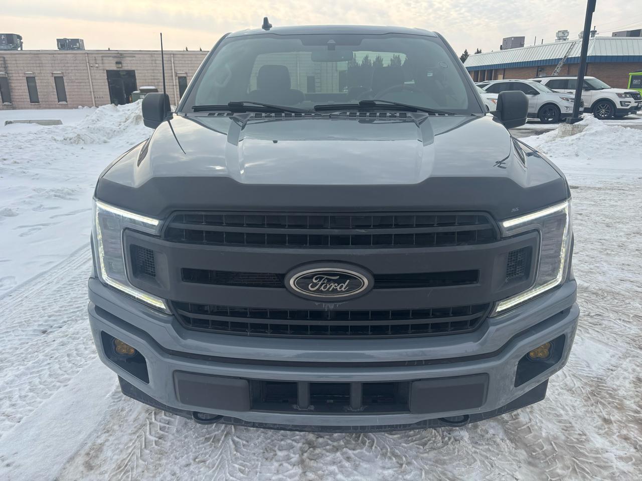 Ford F-150 XL Reg. Cab Short Bed 4WD 2020