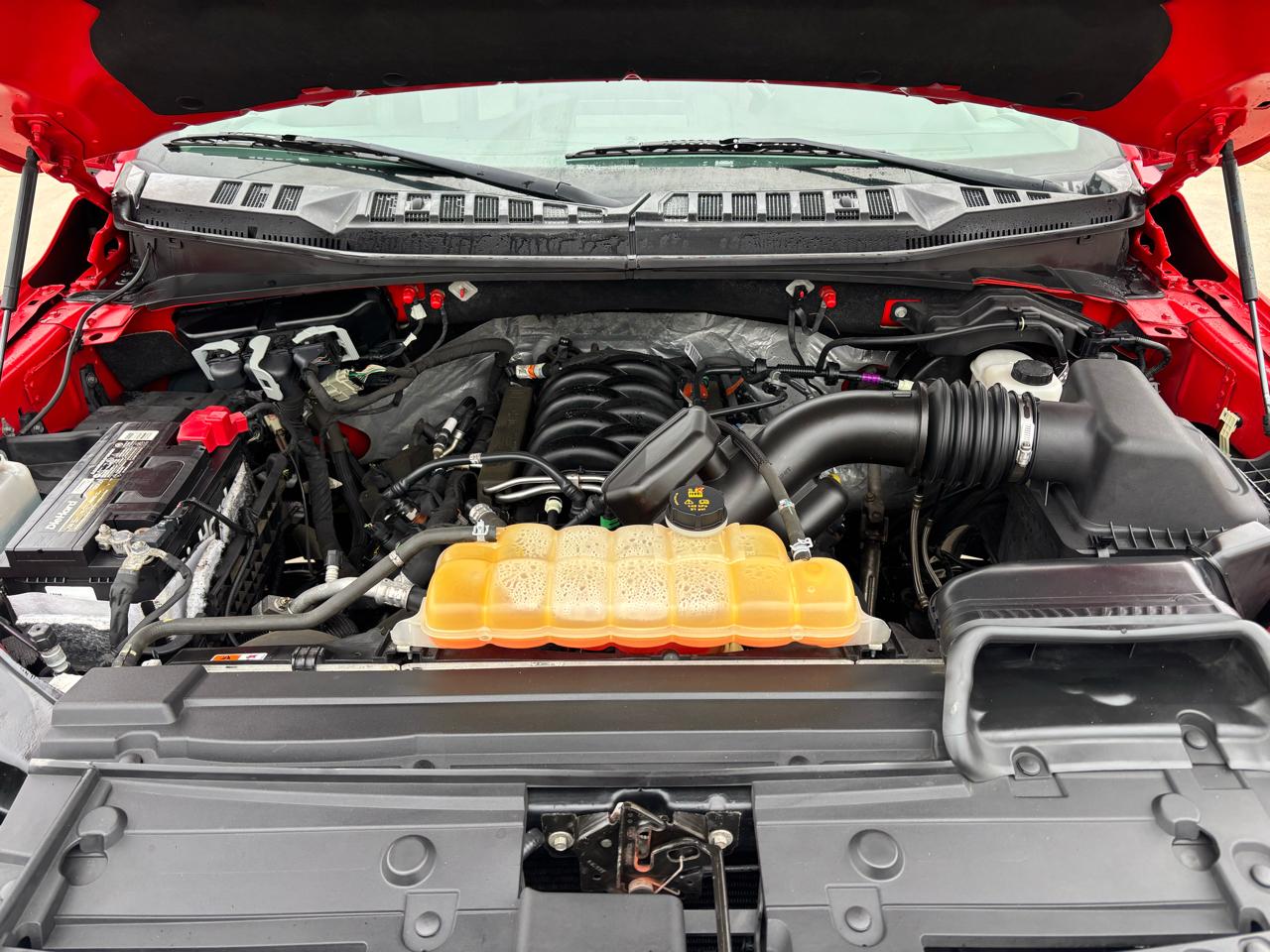 Ford F-150 XLT 4WD SuperCrew 5.5' Box 2018