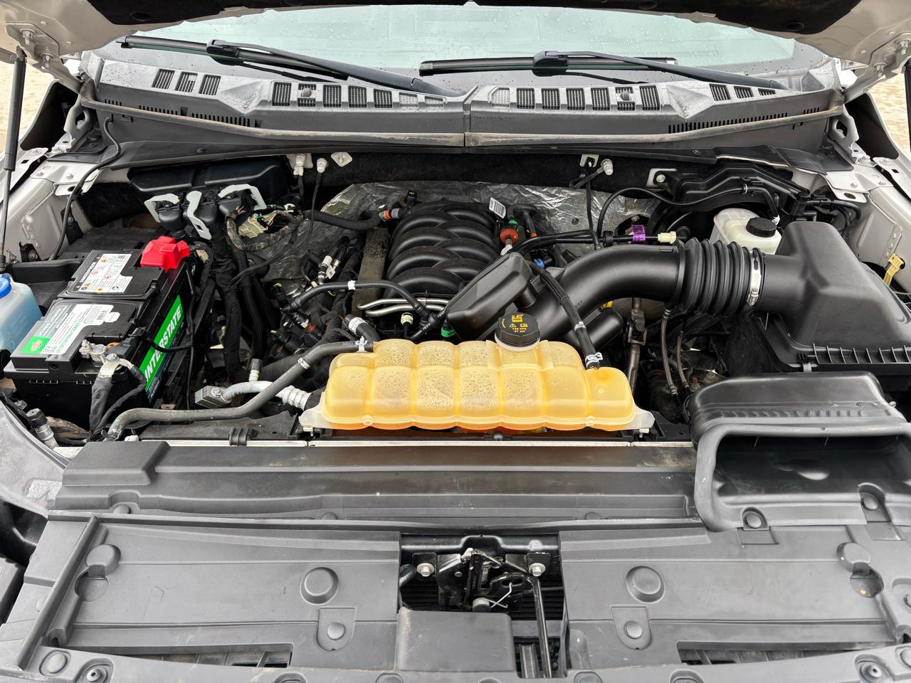 Ford F-150 XLT 4WD SuperCrew 5.5' Box 2018