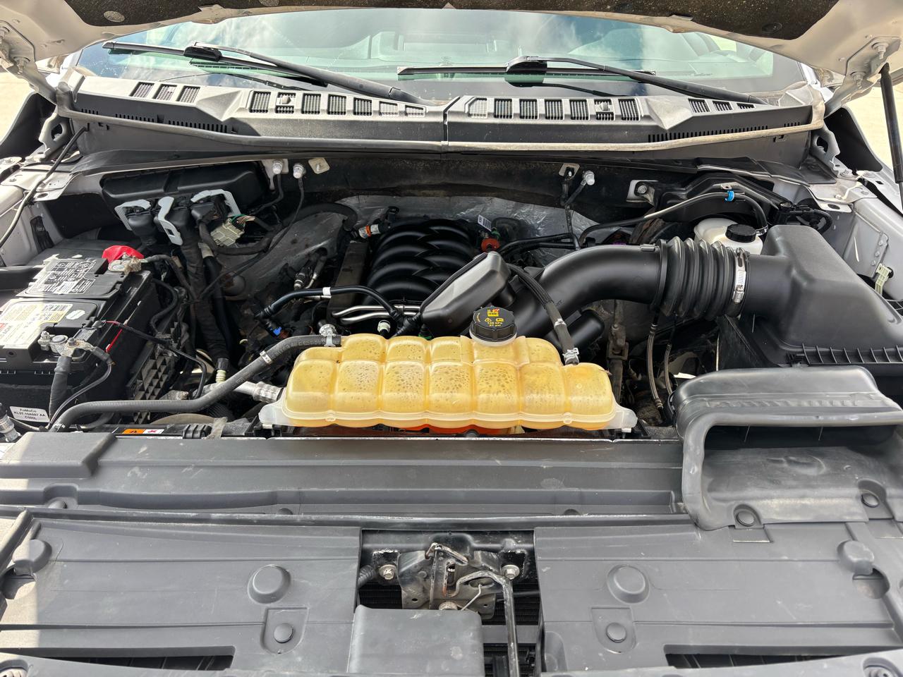 Ford F-150 XLT 4WD SuperCrew 5.5' Box 2019