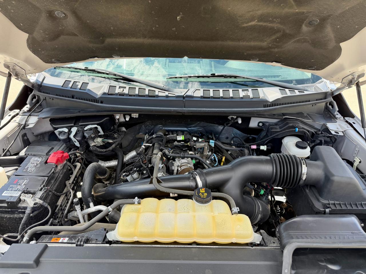 Ford F-150 XLT 4WD SuperCrew 5.5' Box 2019