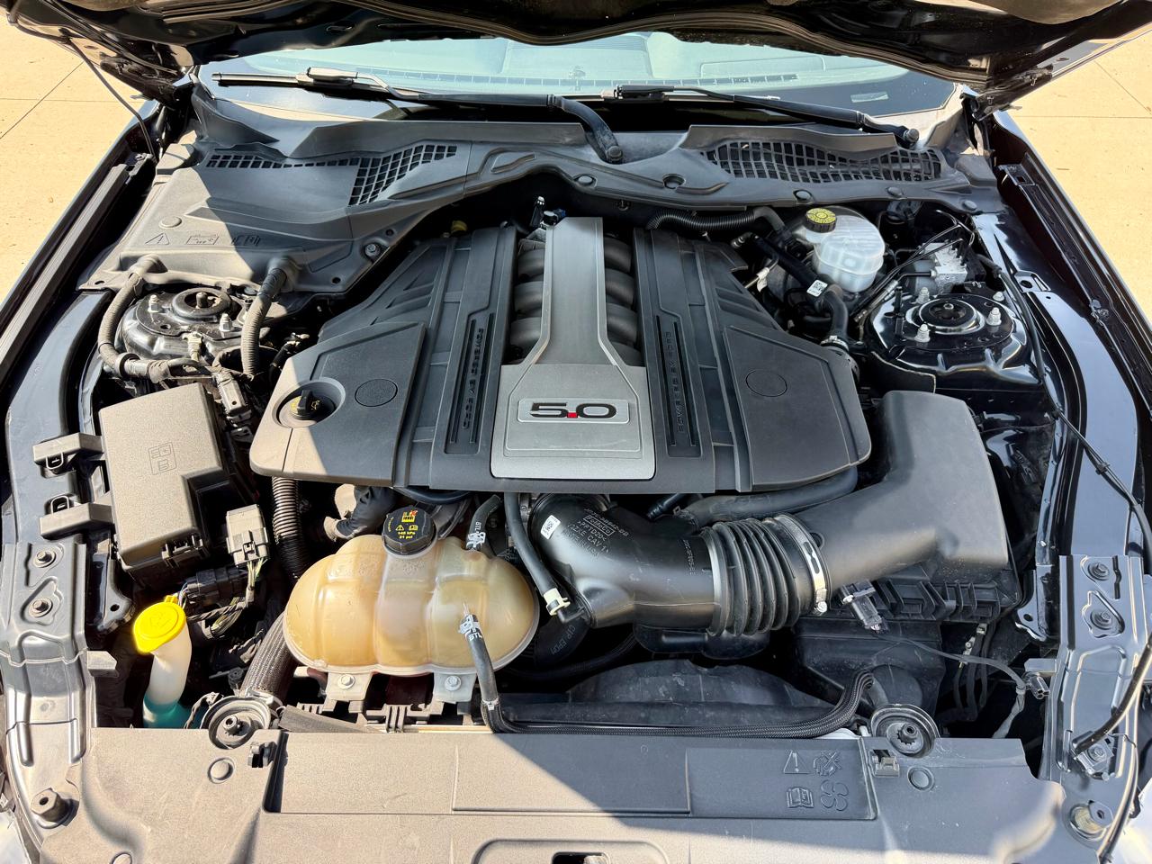 Ford Mustang GT Fastback 2019