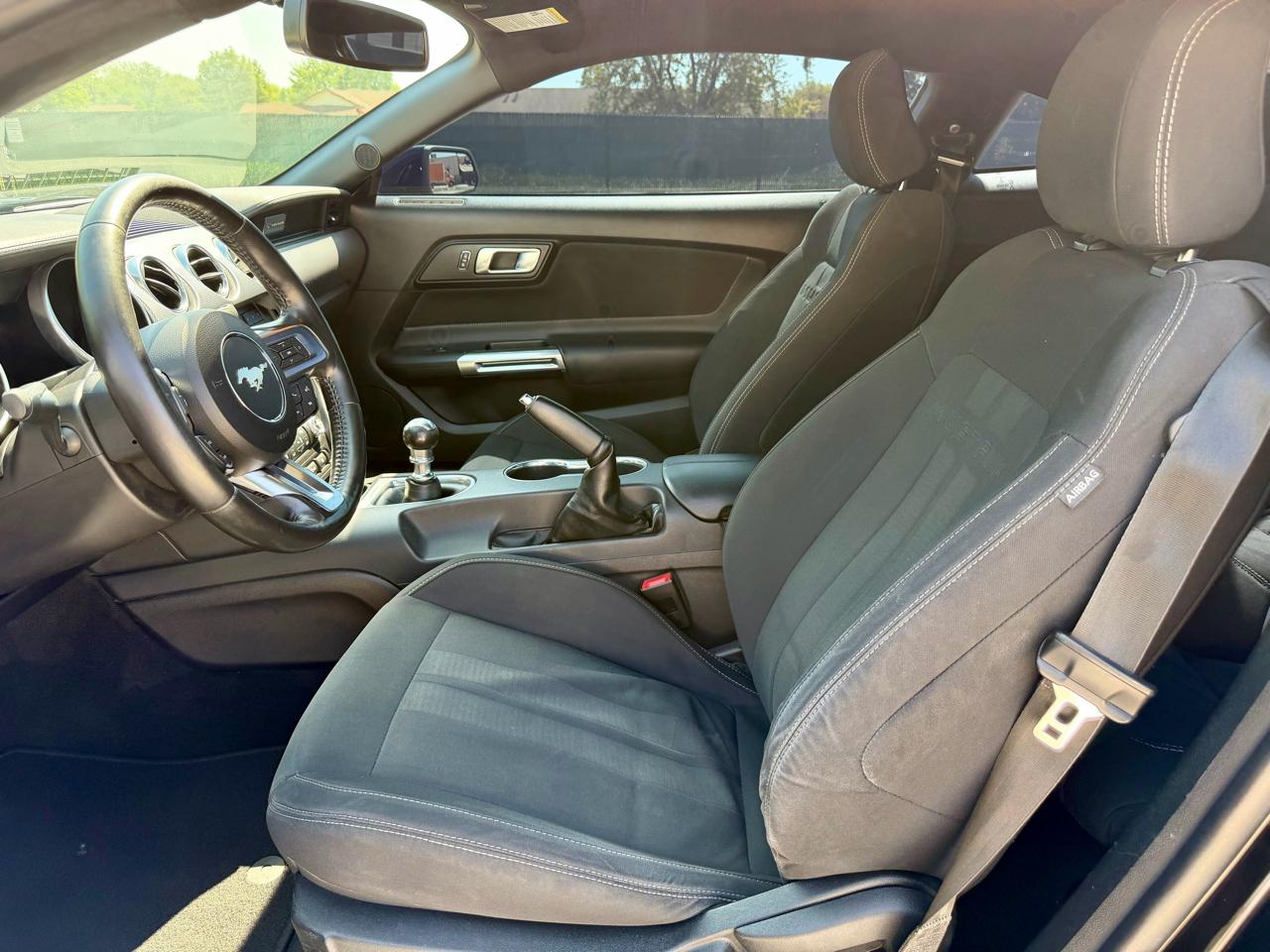 Ford Mustang GT Fastback 2019