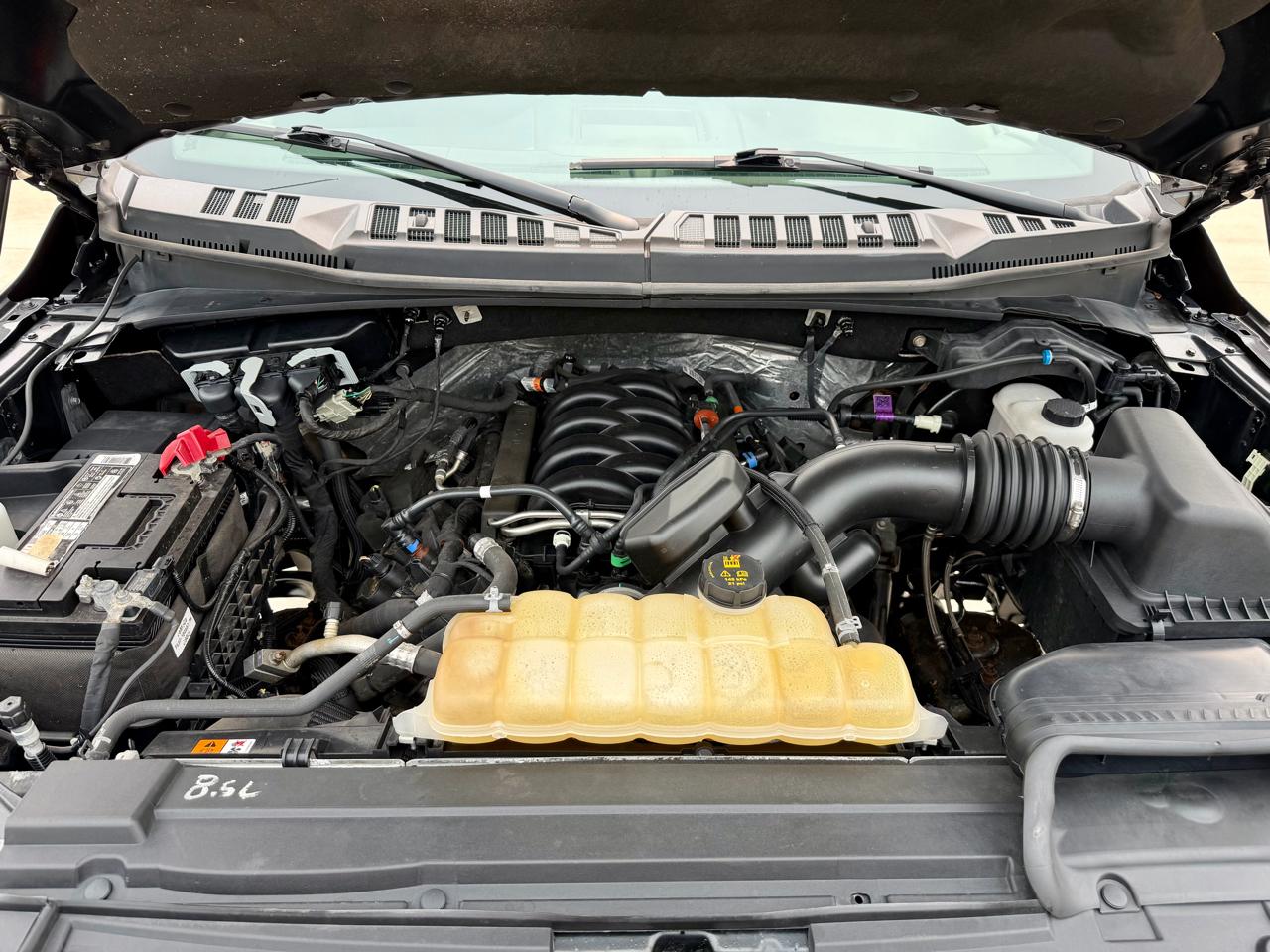 Ford F-150 XLT 4WD SuperCrew 6.5' Box 2019