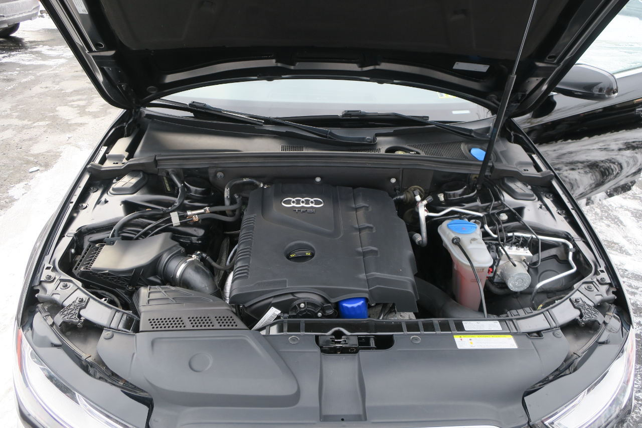 Audi A4 2.0T Premium Plus quattro Sedan AWD 8A 2016