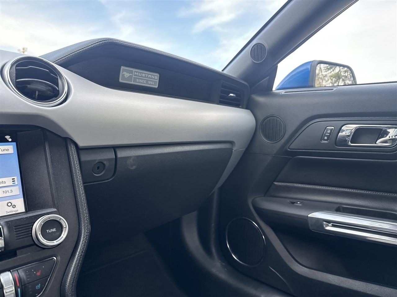 Ford Mustang EcoBoost Fastback 2017