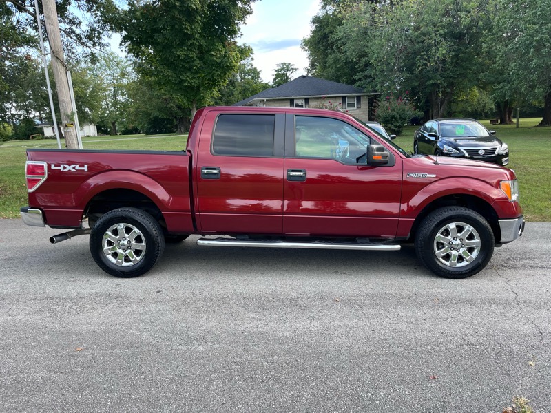 Ford F-150 4WD SuperCrew 145" XLT 2014 Ford F-150 4WD SuperCrew 145" XLT 2014