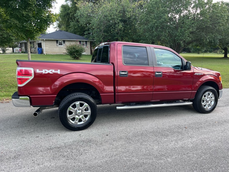 Ford F-150 4WD SuperCrew 145" XLT 2014 Ford F-150 4WD SuperCrew 145" XLT 2014