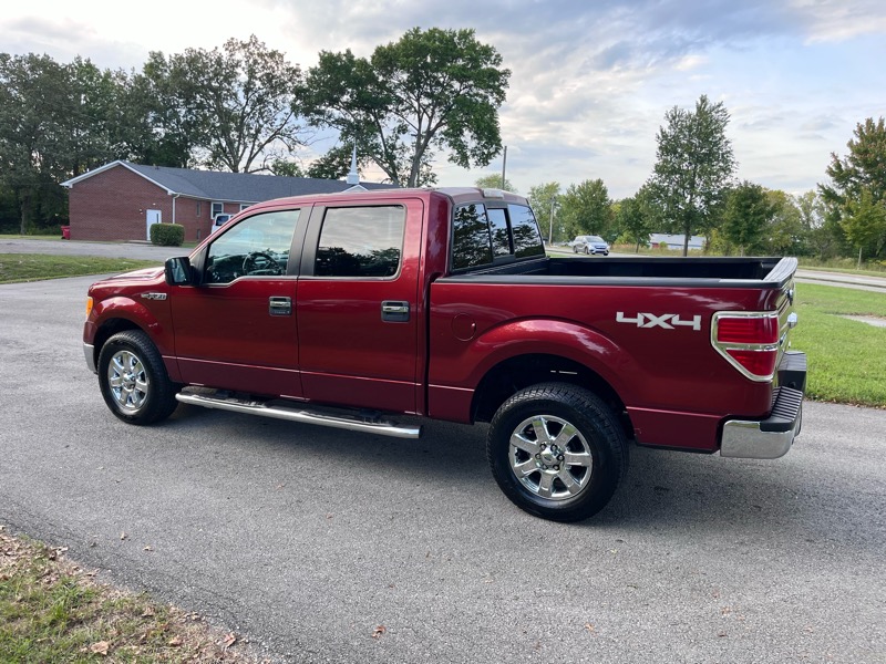 Ford F-150 4WD SuperCrew 145" XLT 2014 Ford F-150 4WD SuperCrew 145" XLT 2014