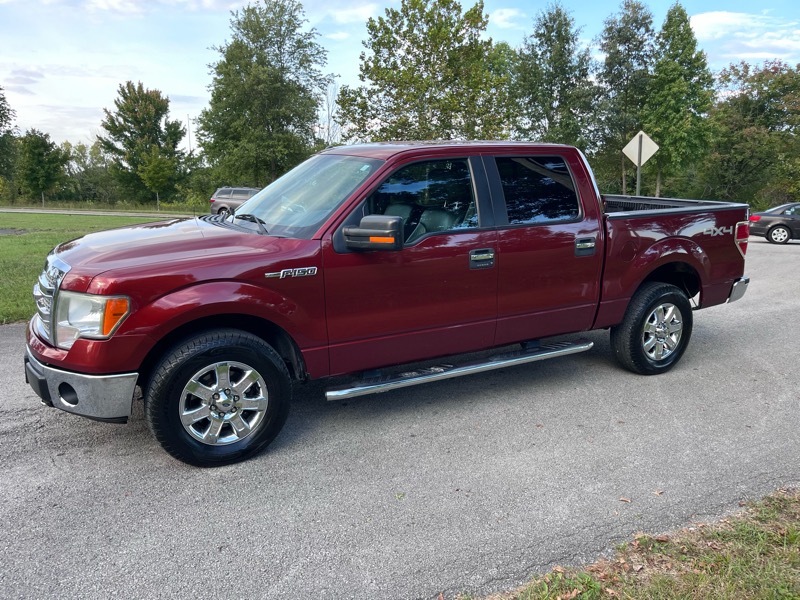 Ford F-150 4WD SuperCrew 145" XLT 2014 Ford F-150 4WD SuperCrew 145" XLT 2014
