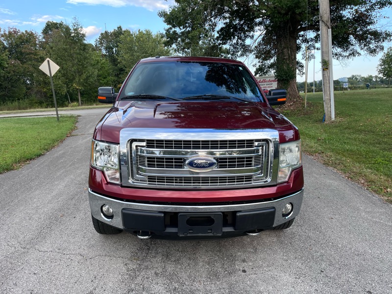 Ford F-150 4WD SuperCrew 145" XLT 2014 Ford F-150 4WD SuperCrew 145" XLT 2014