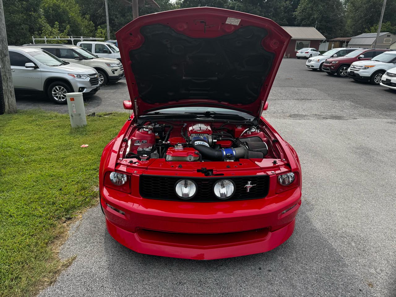 Ford Mustang GT Deluxe Coupe 2007