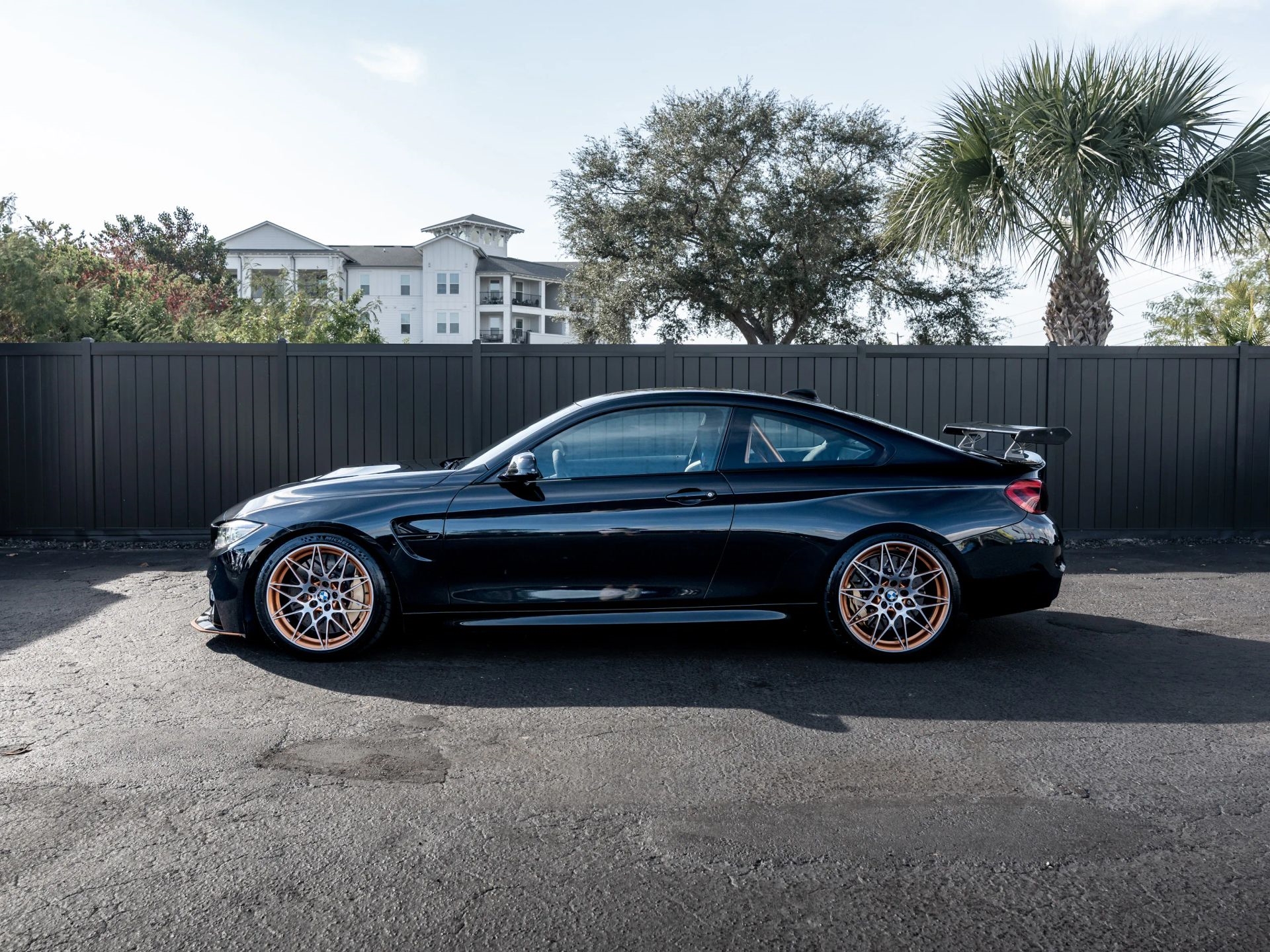 2016 Bmw M4 GTS Coupe photo 4