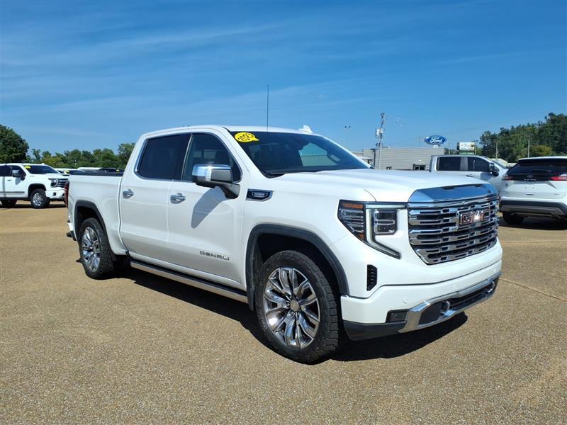 2023 GMC Sierra 1500 Denali