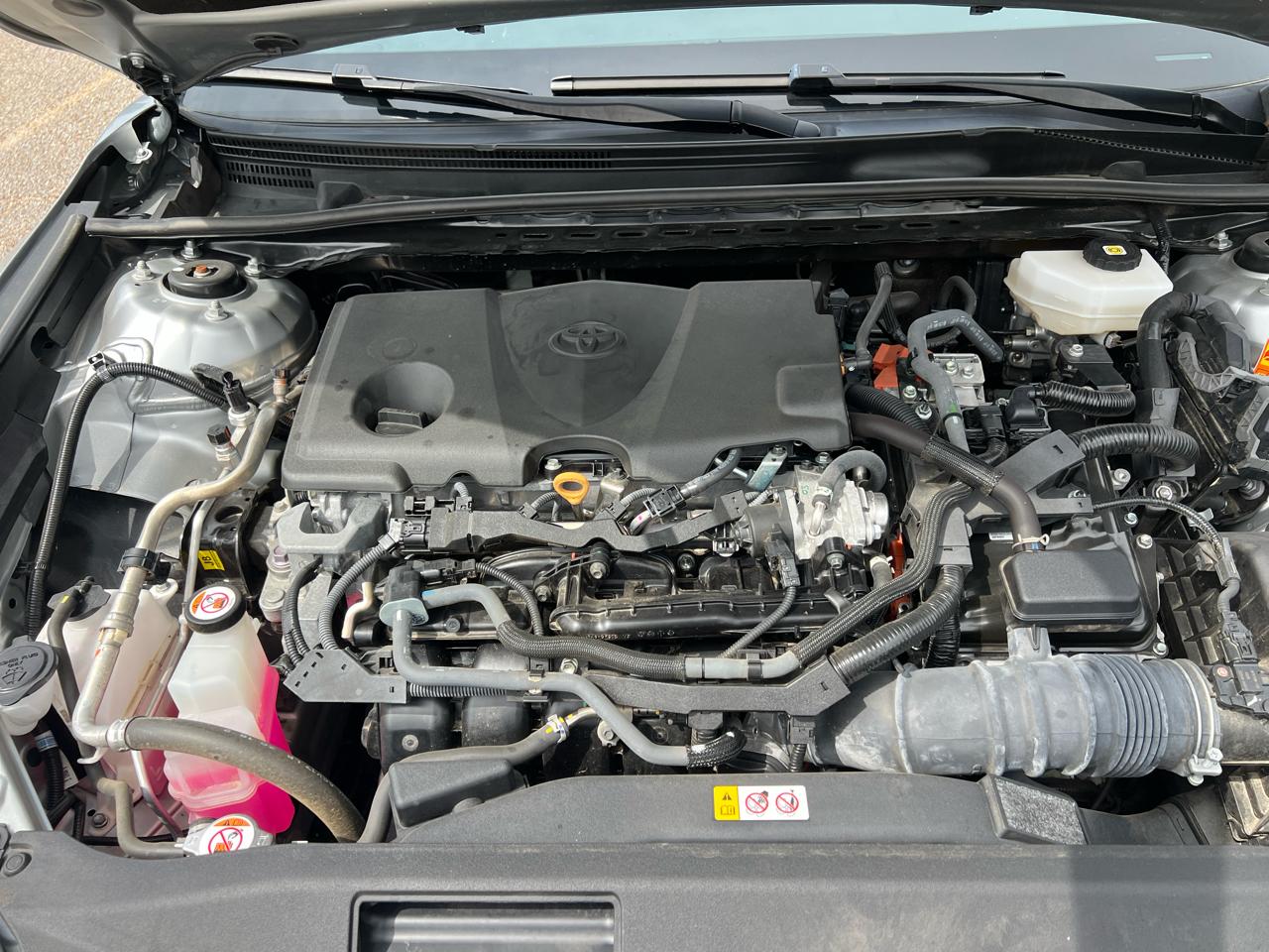 Toyota Camry XLE (Natl) 2025