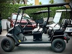 2025 EZGO Liberty 