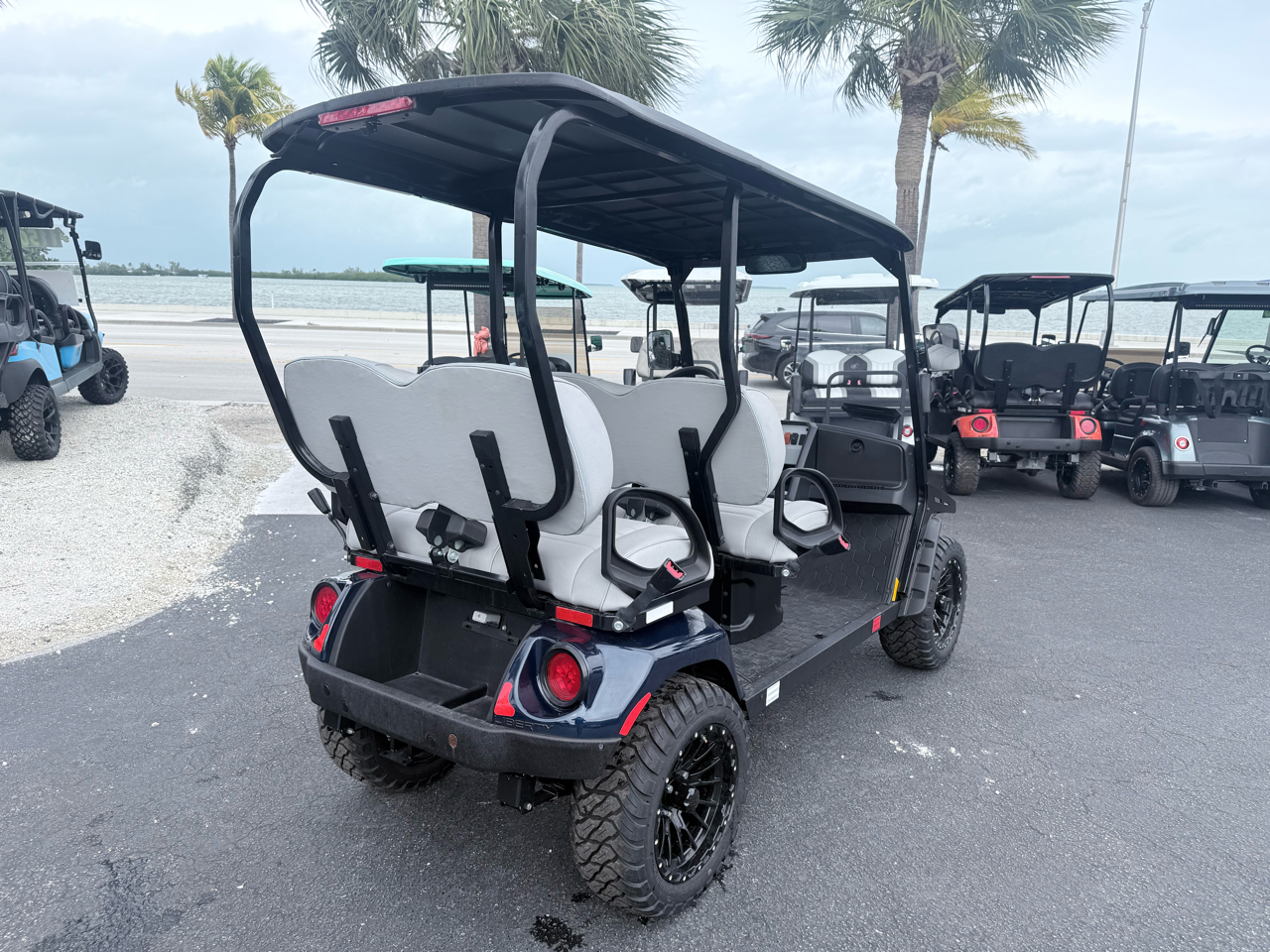 EZGO Liberty  2025