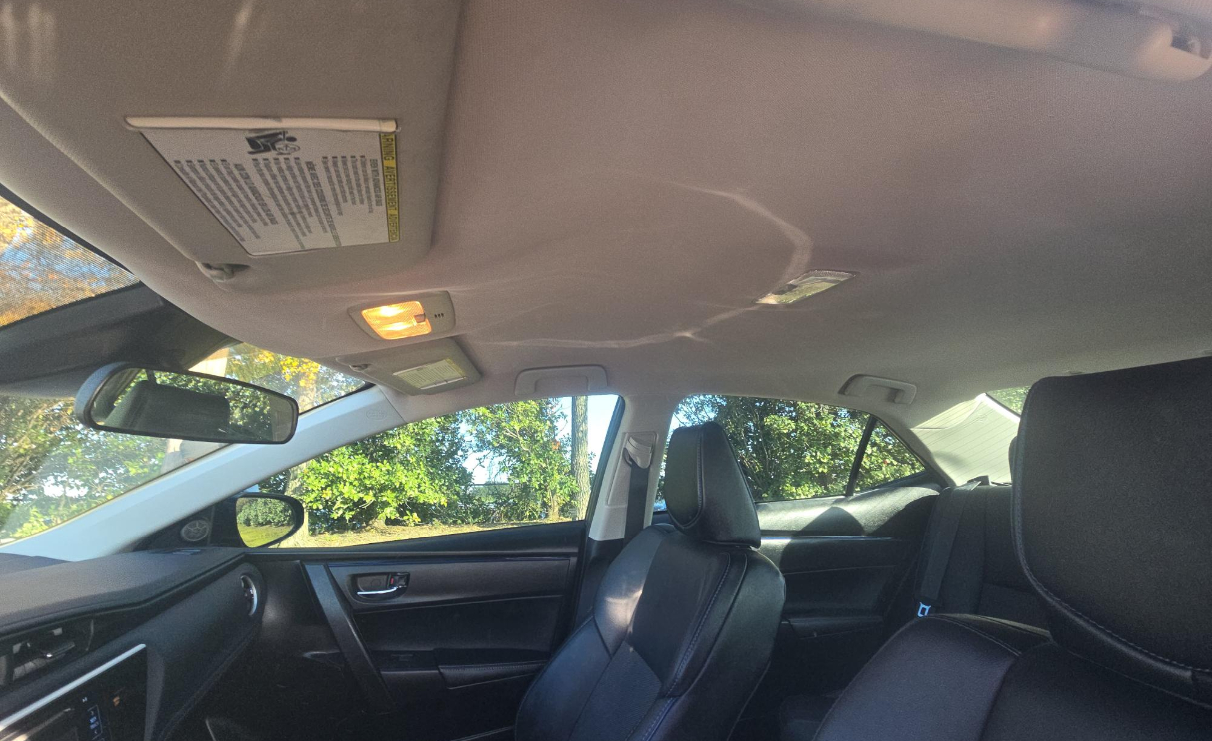 Toyota Corolla XLE CVT (Natl) 2018