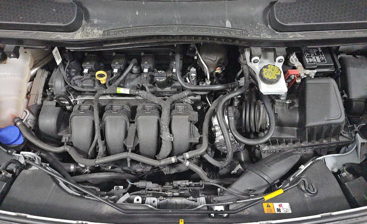 Ford Transit Connect Van XL LWB w/Rear Symmetrical Doors 2019