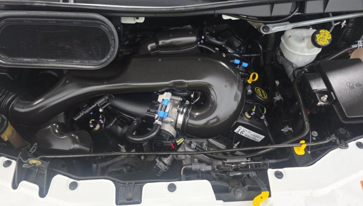 Ford Transit Passenger Wagon T-350 148" Low Roof XLT Swing-Out RH Dr 2019