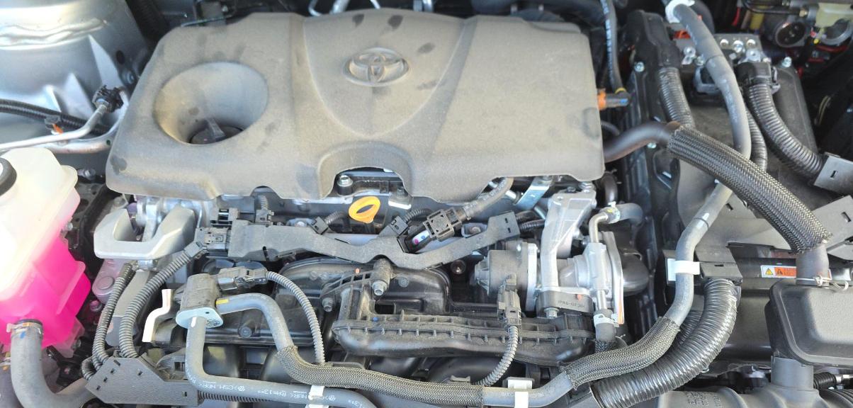 Toyota Sienna XLE FWD 8-Passenger (Natl) 2021