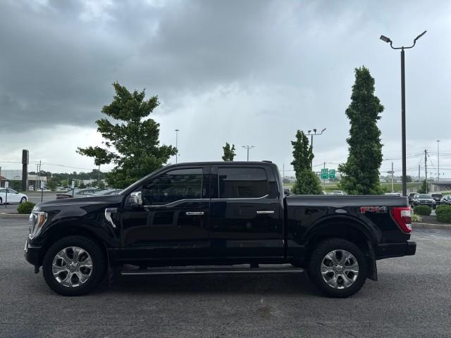 2022 Ford F-150 Platinum photo 15