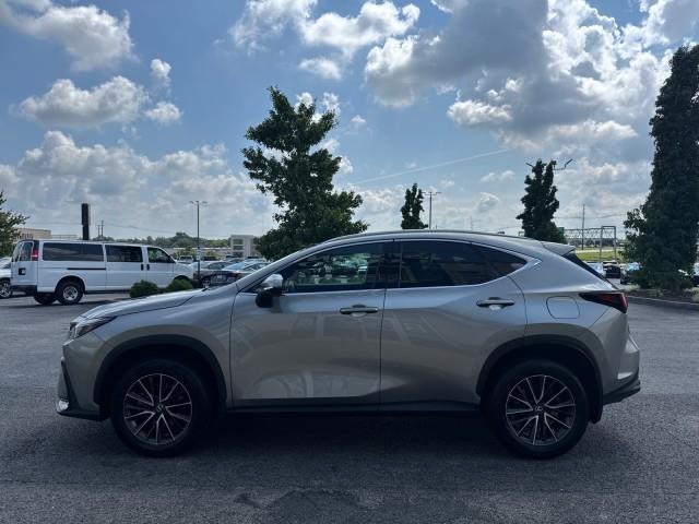 Lexus NX  2024