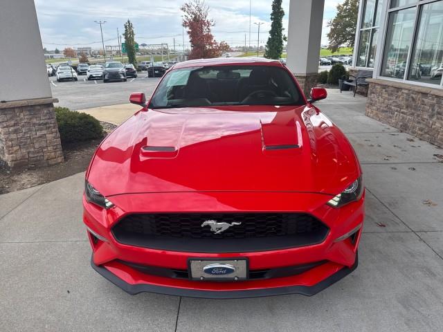 2019 Ford Mustang EcoBoost photo 2