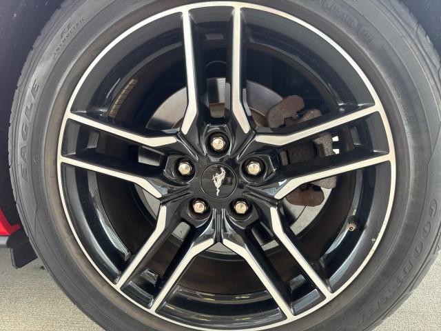 2019 Ford Mustang EcoBoost photo 4