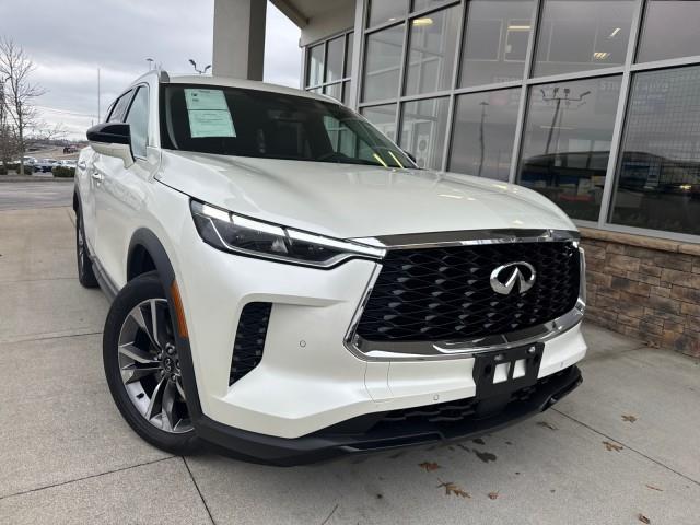 2024 INFINITI QX60 LUXE's photo