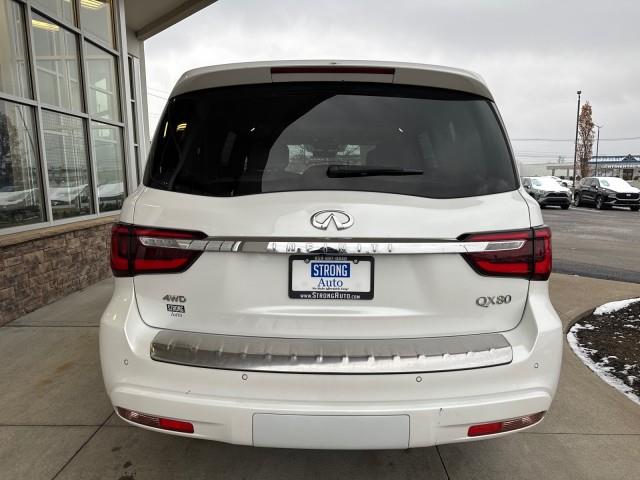 Infiniti QX80  2023