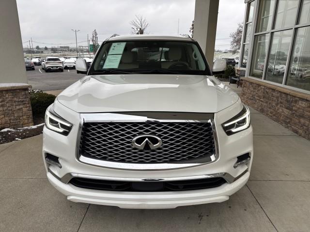 Infiniti QX80  2023