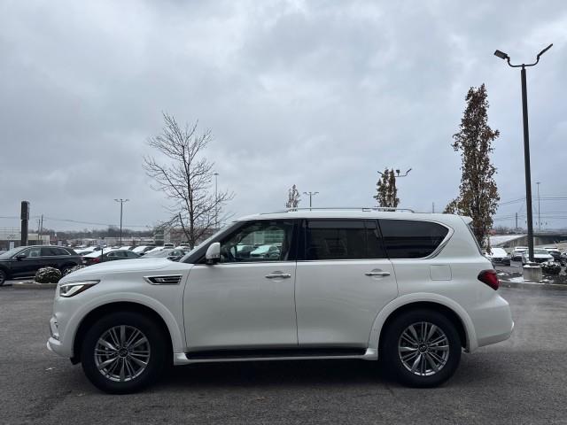 Infiniti QX80  2023