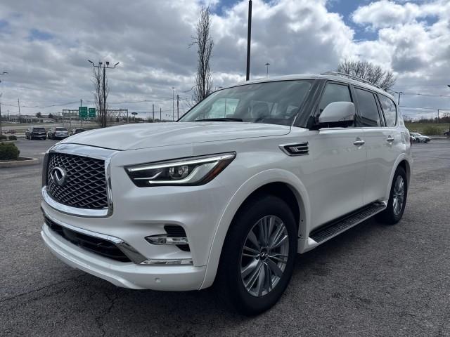 Infiniti QX80  2024