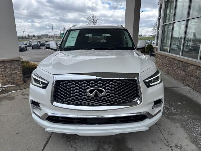 Infiniti QX80  2024