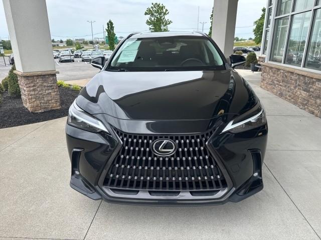 Lexus NX 350  2022