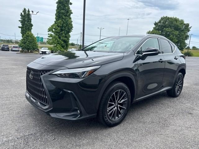 Lexus NX 350  2022