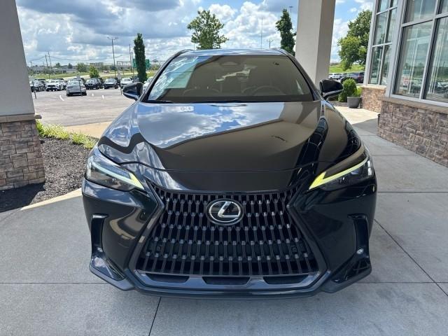 Lexus NX 250  2023