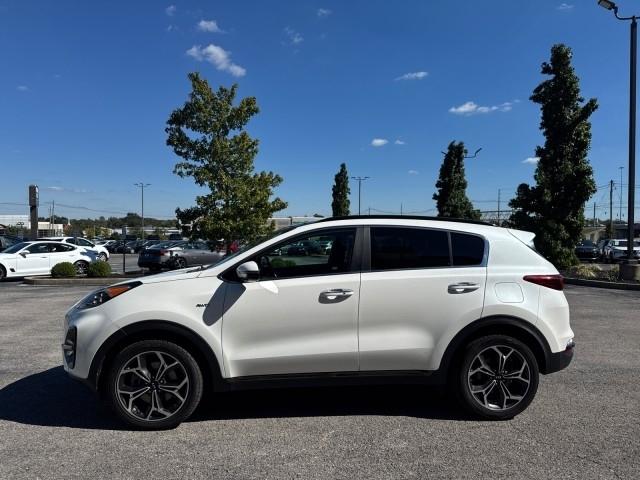 Kia Sportage  2020