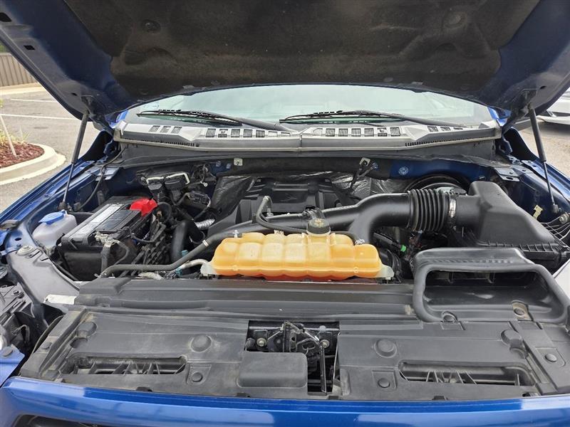 Ford F-150 XLT SuperCrew 5.5-ft. Bed 2WD 2017