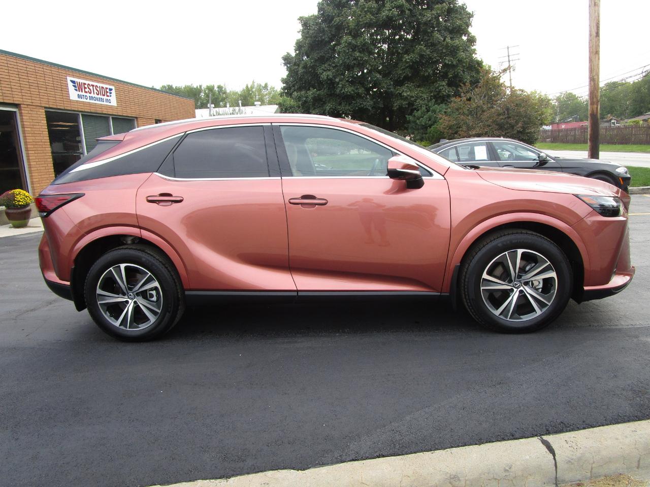 Lexus RX RX 350 AWD 2026