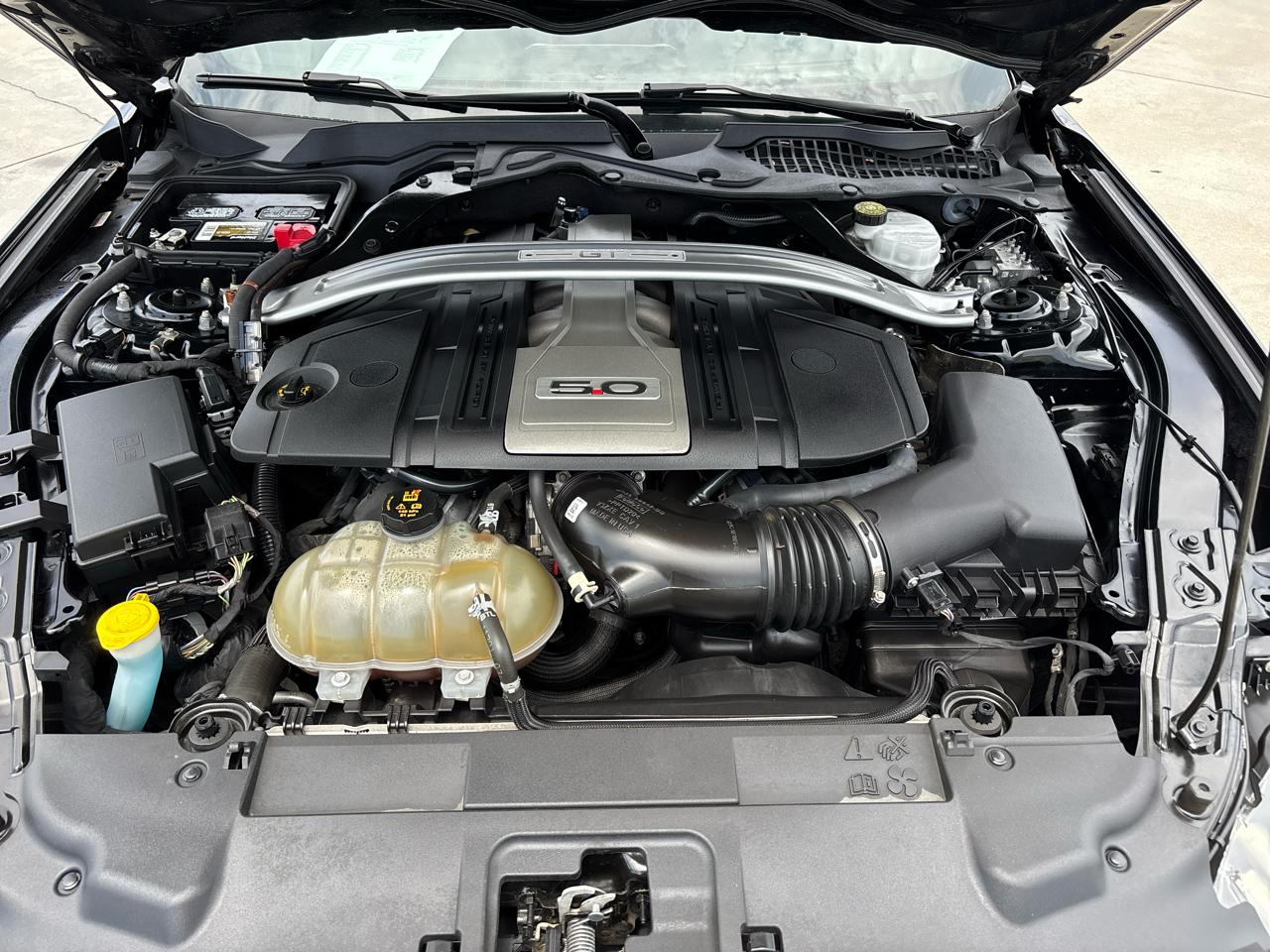 Ford Mustang GT Premium Coupe 2019