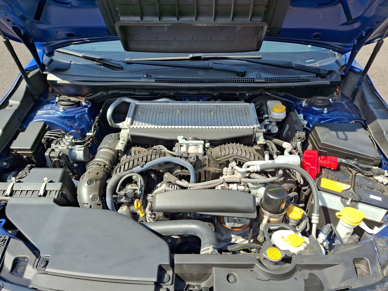 Subaru WRX  2023 Subaru WRX  2023