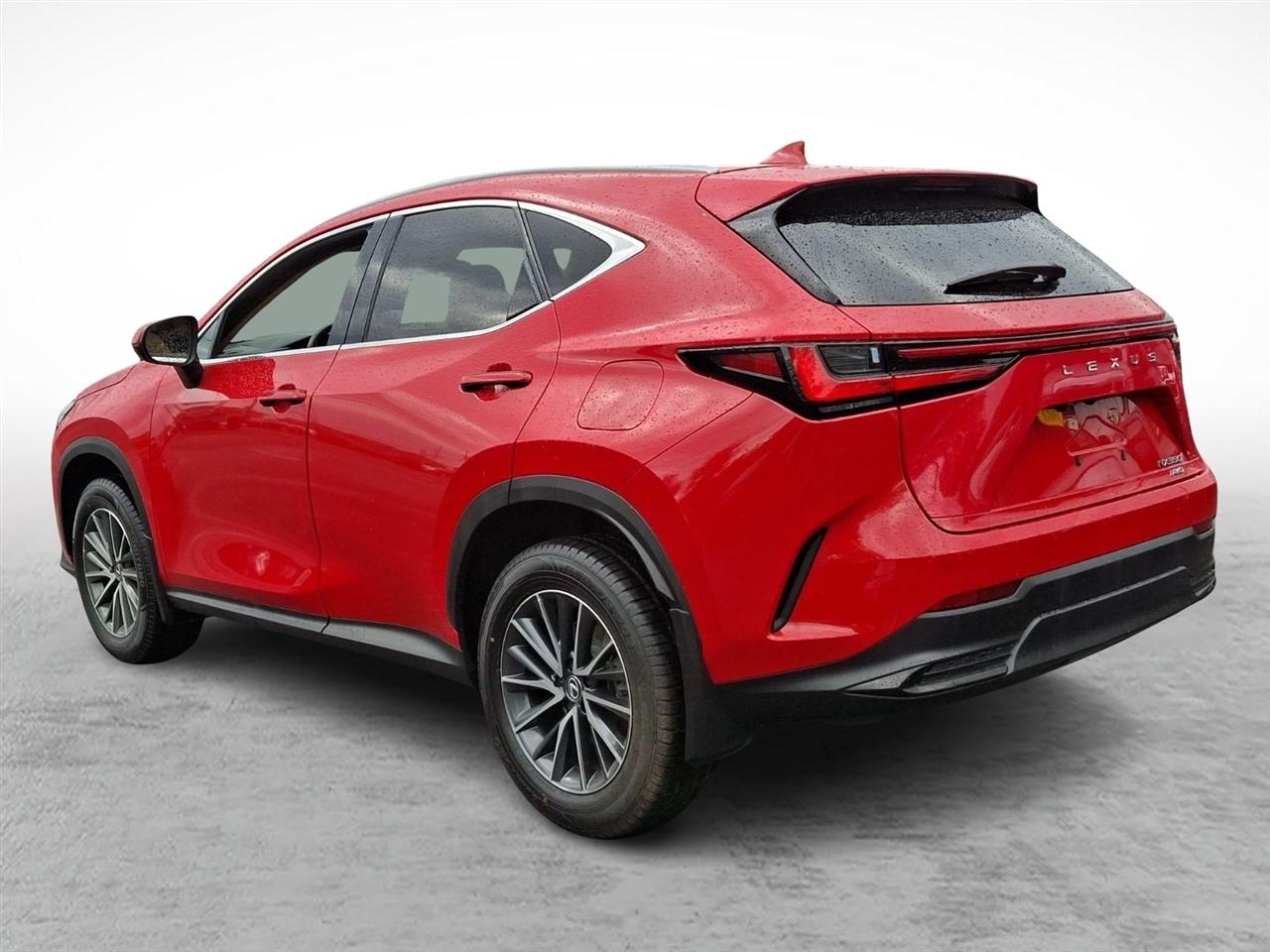 Lexus NX  2024