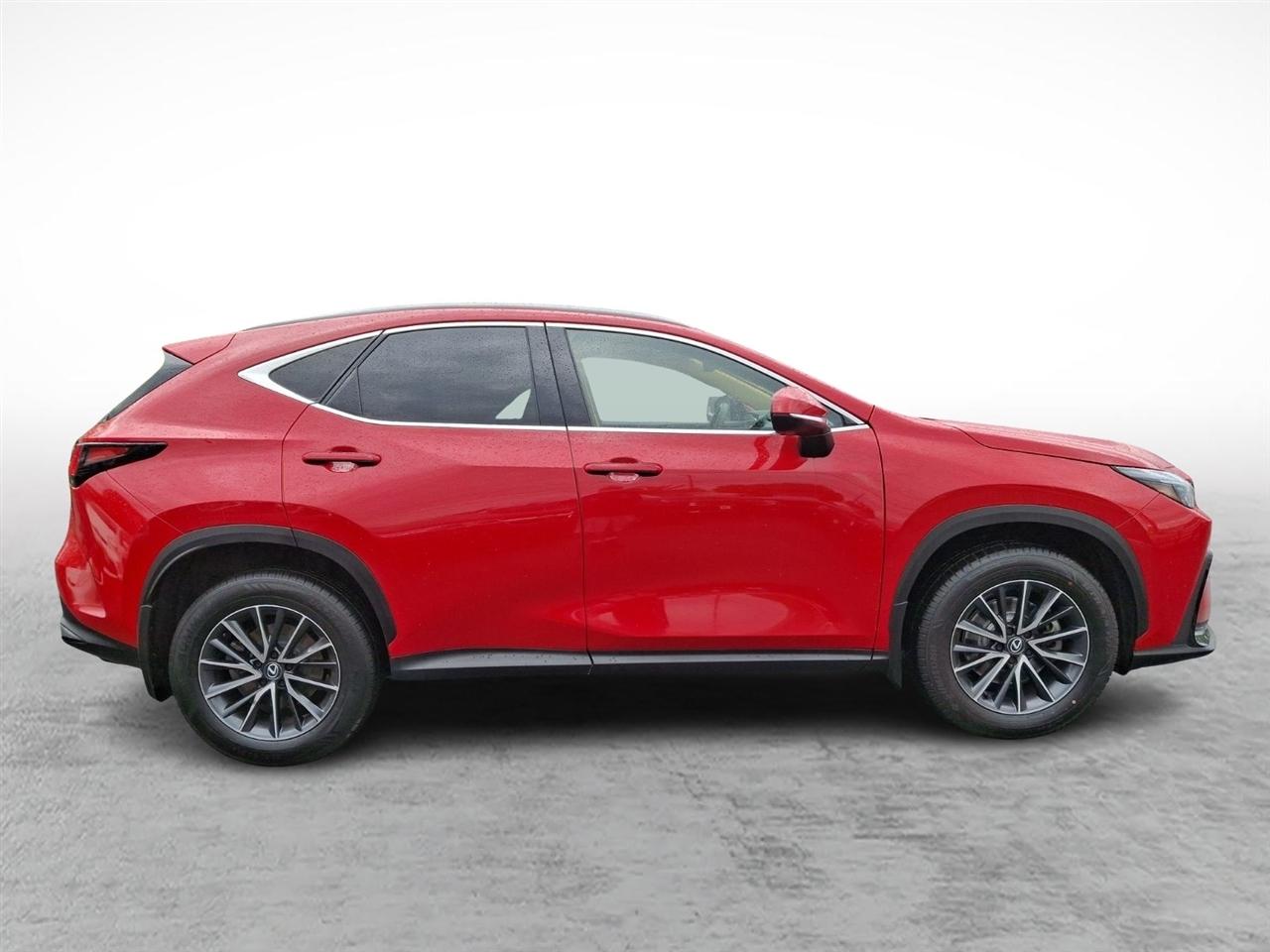 Lexus NX  2024