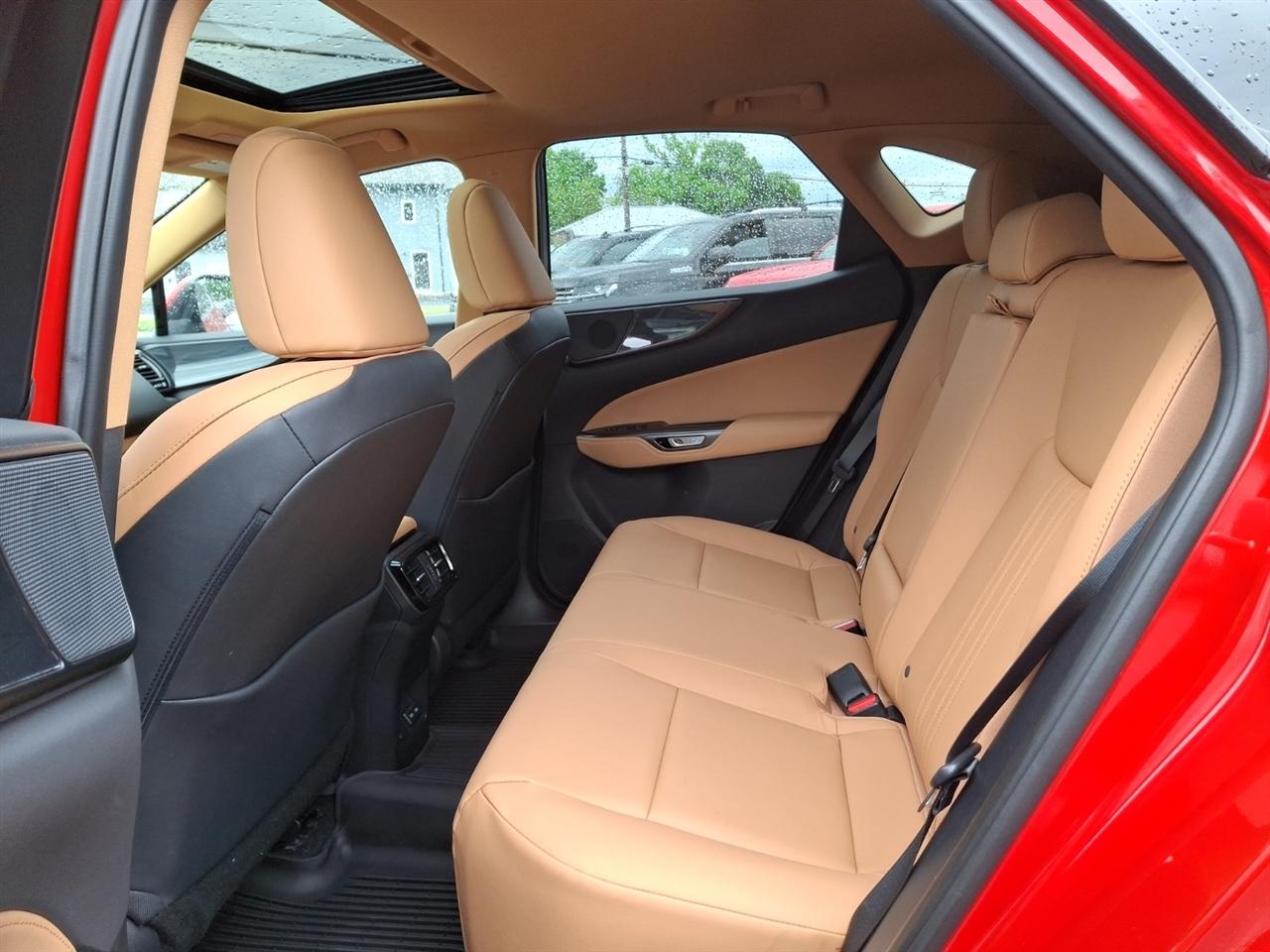 Lexus NX  2024