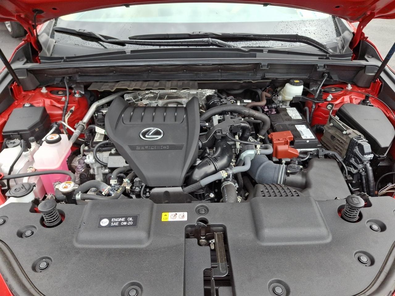 Lexus NX  2024